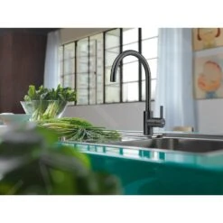 Franke Eos Neo - Spültischarmatur FC 0045.502, Schwarz 115.0613.590 -Franke Verkauf 68fba5df2517fd96f5959f72