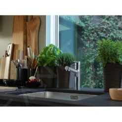 Franke Centro - Spültischarmatur FP 0098.031 Mit Ausziehbarem Endstück, Verchromt 115.0600.098 -Franke Verkauf 6aa6c7ebef0754a113caefe0