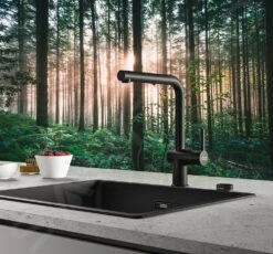 Franke Active New - Spültischarmatur FN 6110.901, Mit Ausziehbarer Brause, Schwarz Matt 115.0653.382 -Franke Verkauf b8e2f909346a697c5141a4de